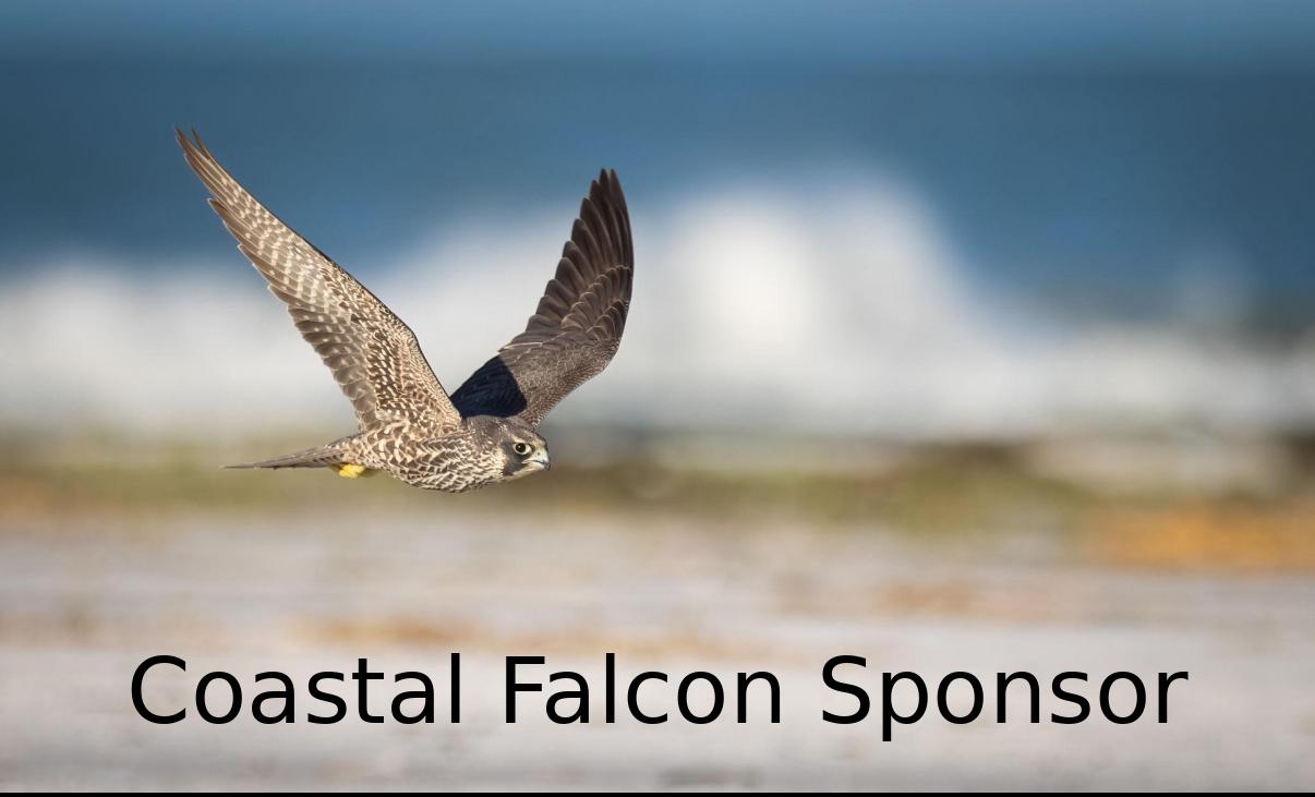 Town Fair Sponsorship Packages